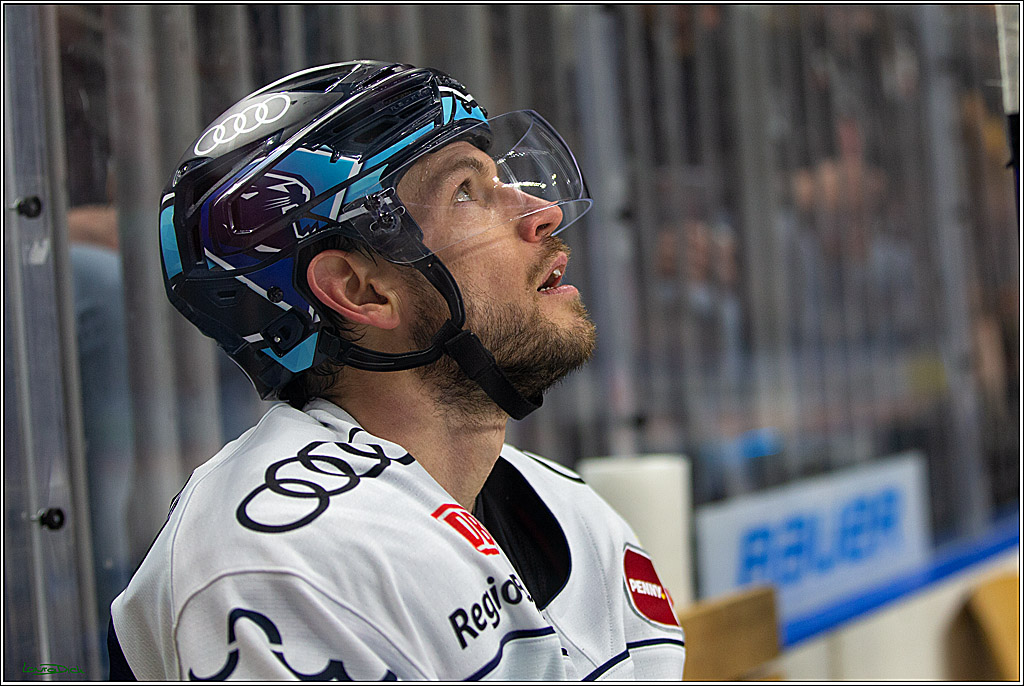 PENNY DEL;  Kölner Haie - ERC Ingolstadt; Köln, 25.11.2022